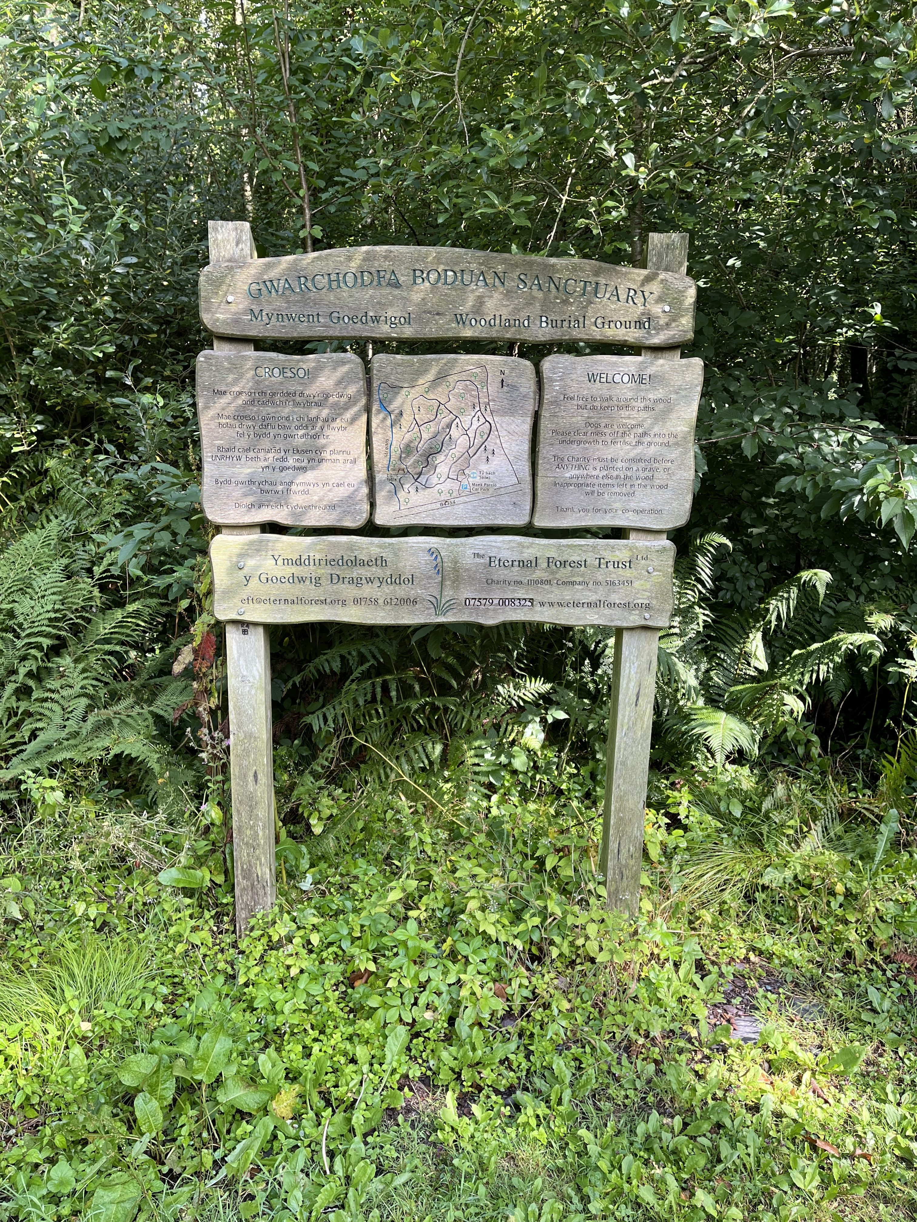 Eternal Forest Natural Burial Ground, Pwllheli