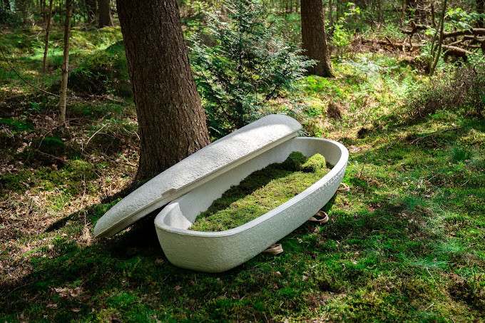 Loop Biotech mushroom coffin
