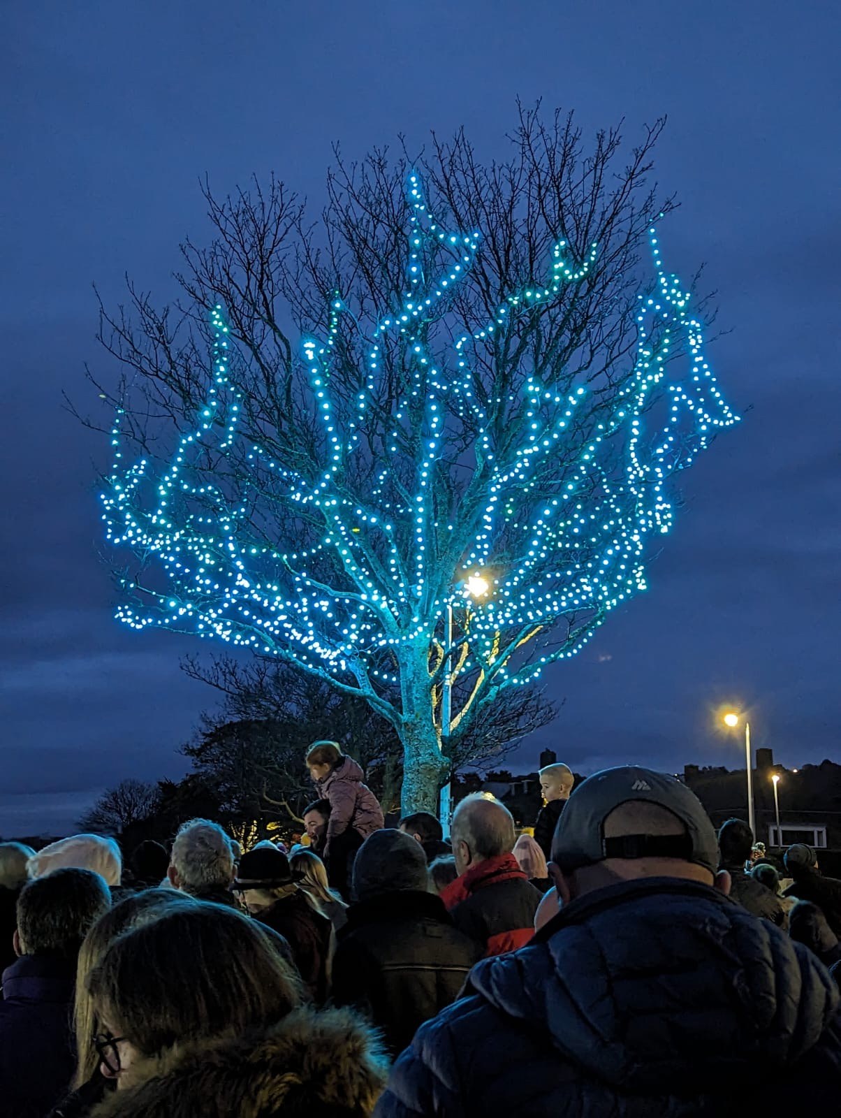 Tree of Lights in Rhos on Sea