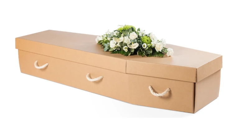Manila Cardboard Coffin