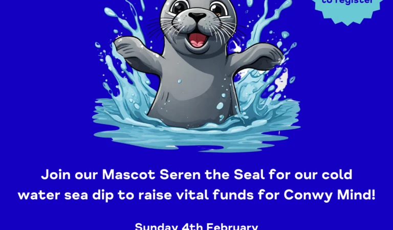 Seal Splash poster