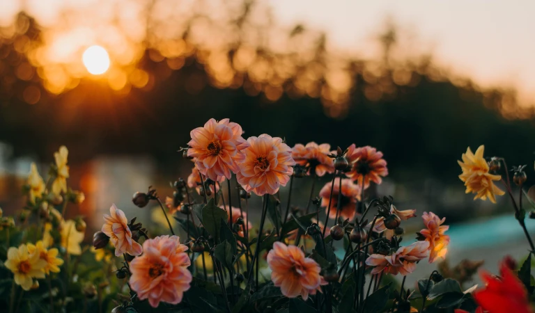 Autumn rituals following a bereavement