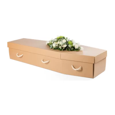 Manila Cardboard Coffin