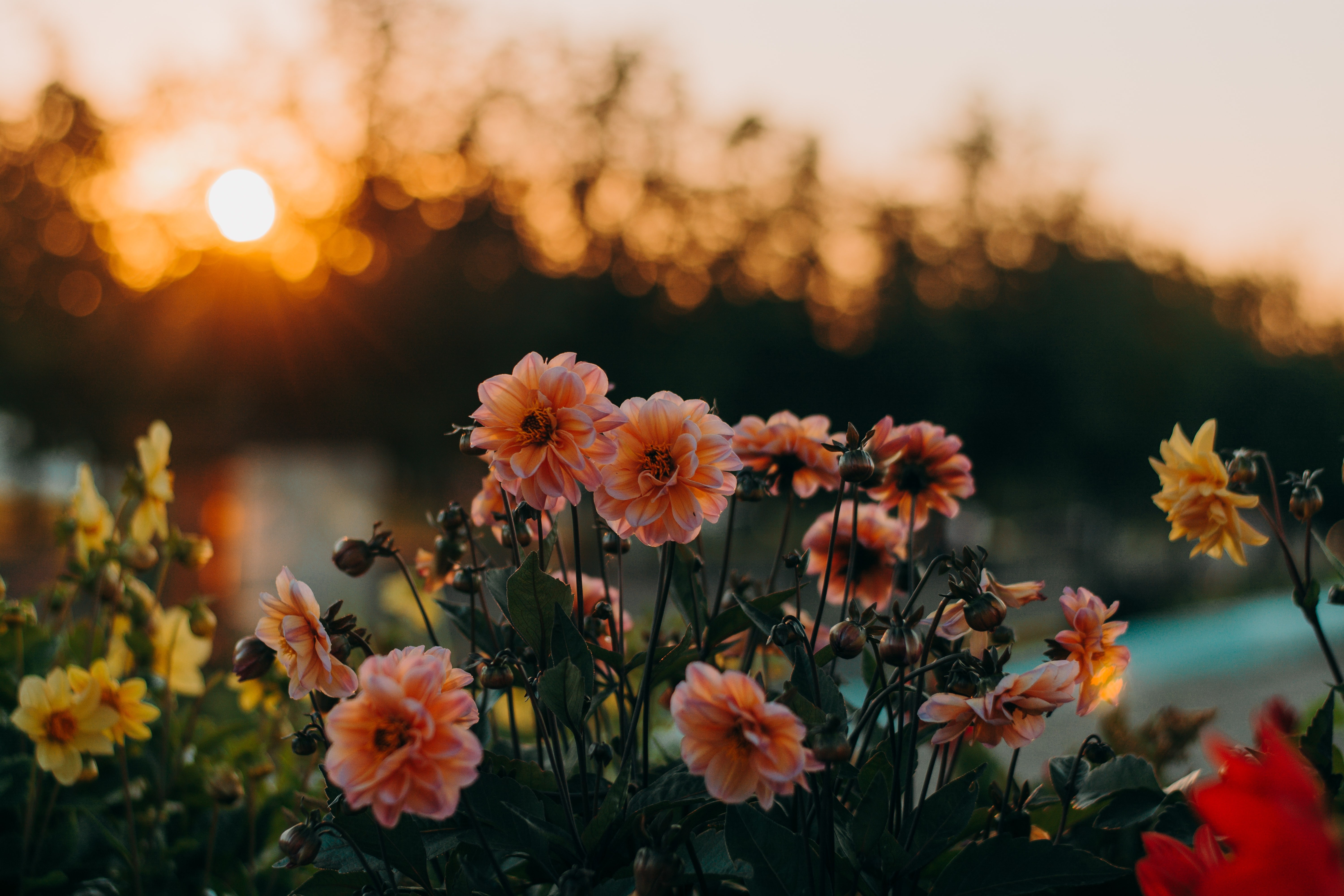 Autumn rituals following a bereavement