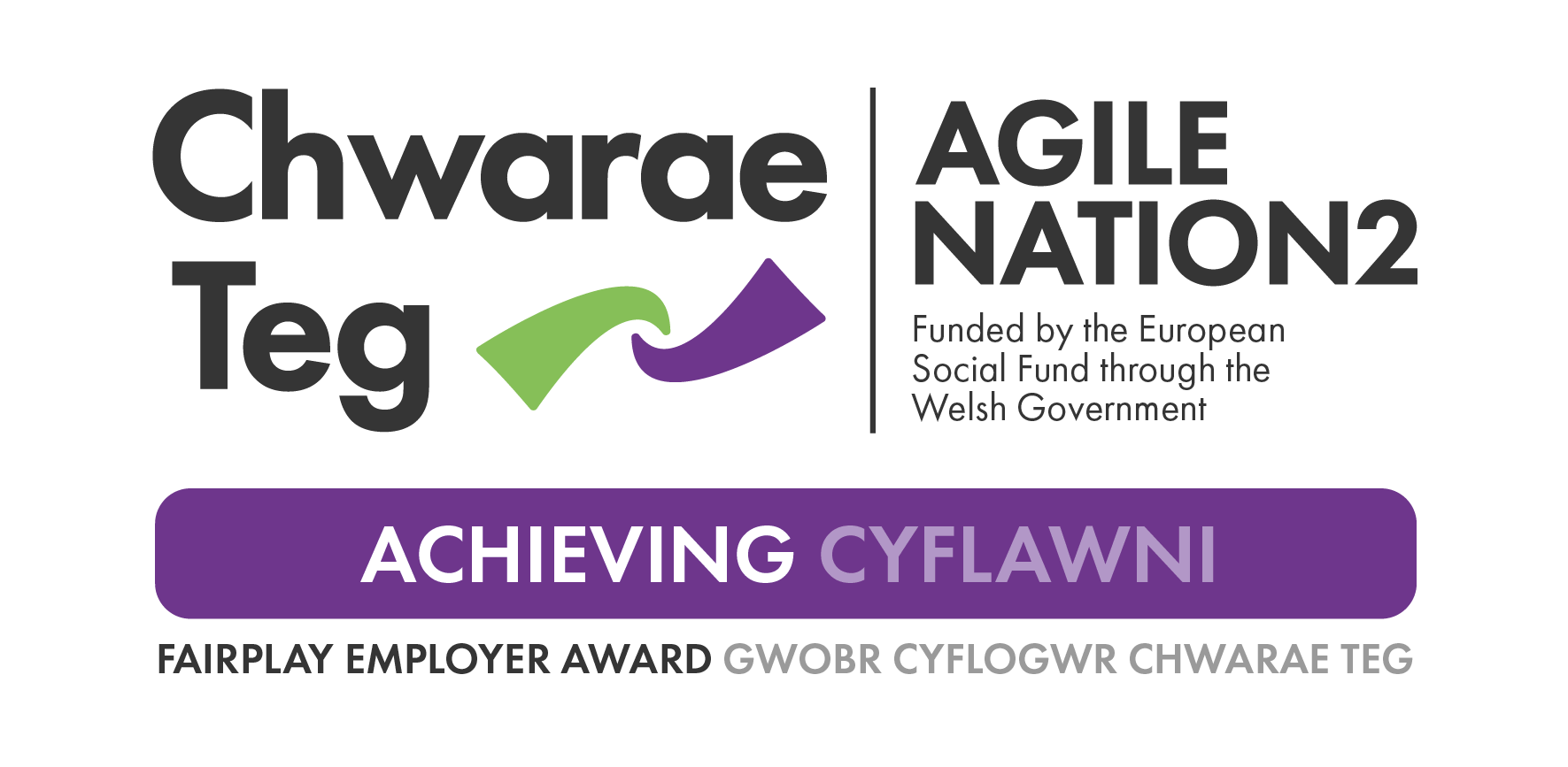 Chwarae Teg Achieving FairPlay Employer Award